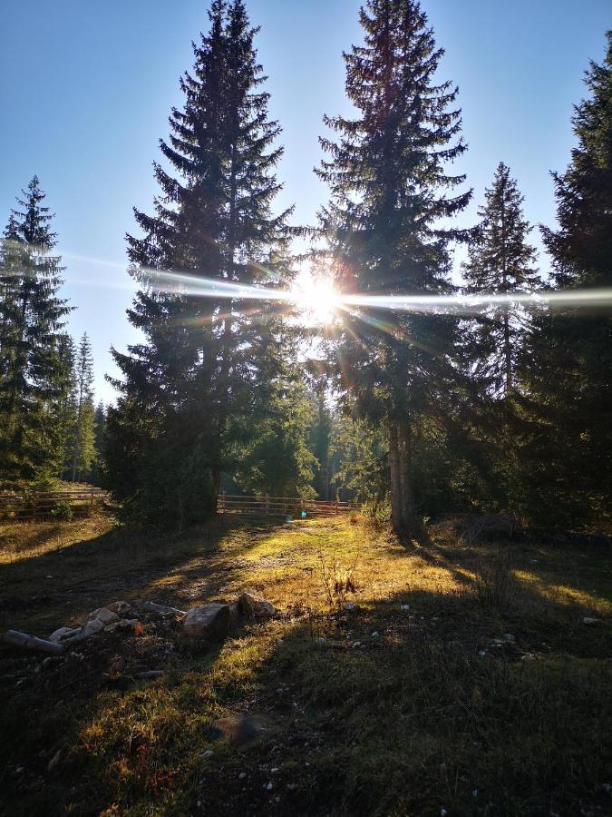 Snowhite Jahorina Villa Kültér fotó