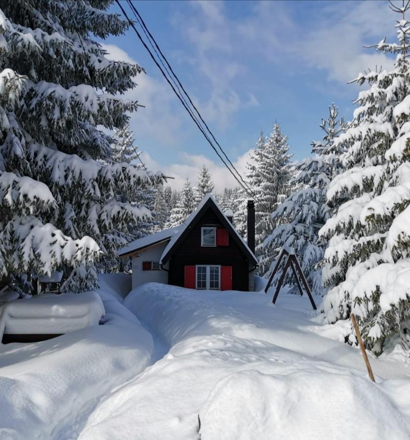 Snowhite Jahorina Villa Kültér fotó