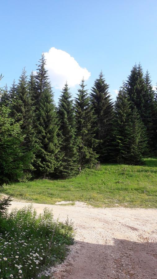 Snowhite Jahorina Villa Kültér fotó